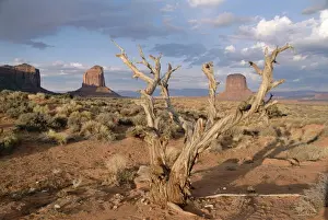 Monument Valley, Arizona, United States of America (U