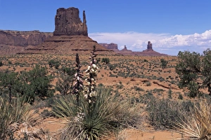 Monument Valley, Utah, United States of America (U
