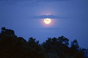 Generic Location Prints: Moon, Kenya