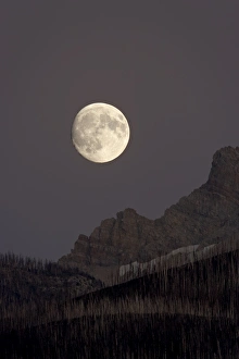 The moon rising, Glacier National Park, Montana, United States of America, North America