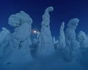 Finland Prints: Full moon rising over snow covered winter landscape at twilight
