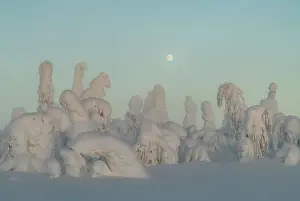 Finland Prints: Full moon rising over snow covered winter landscape at twilight