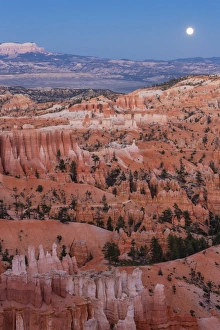 Moonrise over Bryce Canyon Amphitheater from Sunrise Point, Bryce Canyon National Park, Utah, United States of America, North America