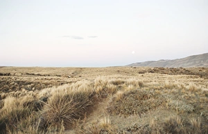 El Calafate Prints: Moonrise over El Calafate, Patagonia, Argentina, South America