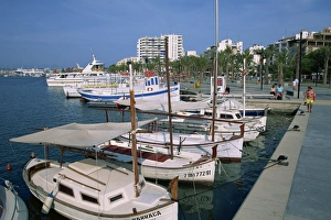San Antonio Prints: Moored boats in marina