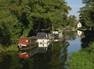 Water Way Prints: Moored boats on the Wey navigation from the south side of Craft Lock, Sutton Green