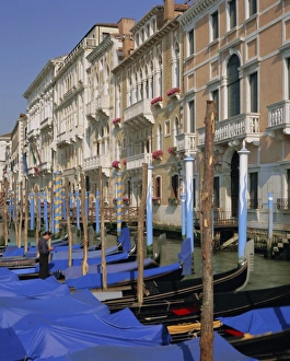 Stick Prints: Moored gondolas on the Grand Canal