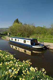 Canal Prints: Moored narrow boat, Llangollen Canal, Wales, United Kingdom, Europe