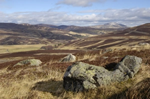 Images Dated 5th March 2008: Moorland of the Cairngorm National Park, between Crathie and Gairnshiel