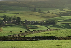 North Yorkshire Prints: Moors at Ingleborough, North Yorkshire, Yorkshire, England, United Kingdom, Europe