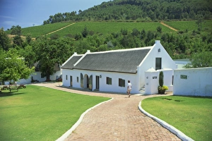 Cape Province Prints: The Morgenhof Estate
