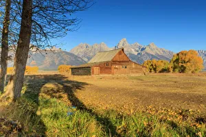Cabin Prints: Mormon Row barn on a clear Autumn (Fall) morning