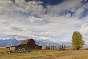 Images Dated 6th October 2010: Mormon Row barn with Teton Range in autumn (fall), Antelope Flats, Grand Teton National Park