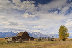 Barn Prints: Mormon Row barn with Teton Range in autumn (fall)