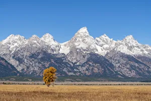 Teton Range Prints: Mormon Row and Teton Range, Grand Teton National Park, Wyoming, United States of America