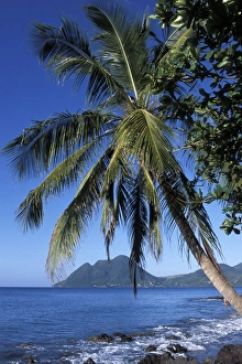 Martinique Prints: Morne Larcher