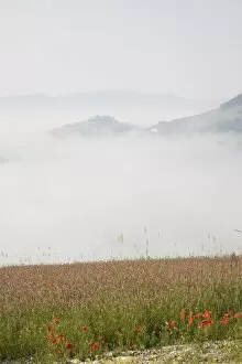 Morning fog, Castelluccio di Norcia, Highland of Castelluccio di Norcia