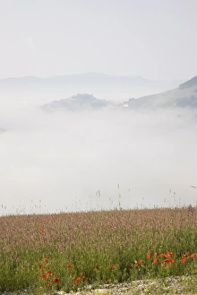 Images Dated 30th June 2008: Morning fog, Castelluccio di Norcia, Highland of Castelluccio di Norcia