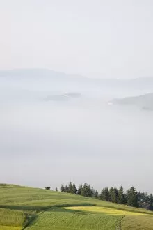 Images Dated 30th June 2008: Morning fog, Castelluccio di Norcia, Highland of Castelluccio di Norcia