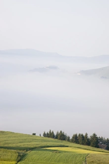 Images Dated 30th June 2008: Morning fog, Castelluccio di Norcia, Highland of Castelluccio di Norcia
