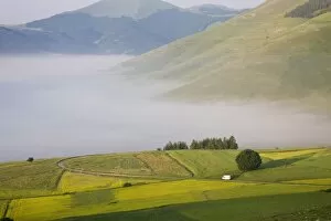 Images Dated 30th June 2008: Morning fog, Highland of Castelluccio di Norcia, Castelluccio di Norcia