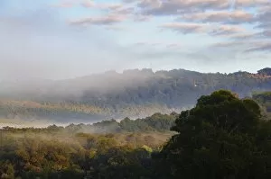 Morning fog over the s ilvan Res ervoir, Dandenong Ranges , Victoria, Aus tralia, Pacific