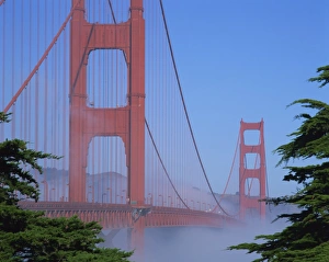 Foggy Gallery: Morning fog surrounds the Golden Gate Bridge, in San Francisco, California