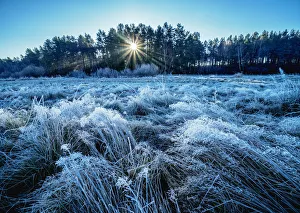 Morning frost in Gorajec, Lublin Voivodeship, Poland, Europe