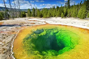 Morning Glory Pool and surrounds, Yellowstone National Park, UNESCO World Heritage Site, Wyoming, United States of America, North America
