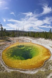 Standing Water Prints: Morning Glory Pool, Upper Geyser Basin