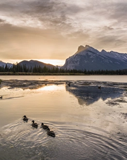Duck Prints: Morning landscape in the Vermilion Lakes, Banff National Park, UNESCO World Heritage Site