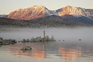 Images Dated 6th December 2008: Morning light, Mono Lake, California, United States of America, North America