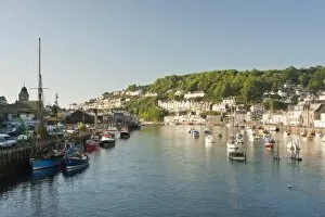 Images Dated 11th March 2010: Morning light on the River Looe at Looe in Cornwall, England, United Kingdom, Europe