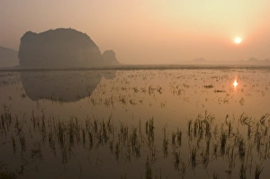 Ninh Binh Prints: Morning mist