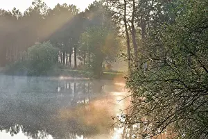 Ripples Prints: Morning mist over a lake at the Regional nature park of Loire Anjou Touraine