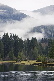 Images Dated 18th April 2009: Morning mist at Port Renfrew, Vancouver Island, British Columbia, Canada, North America