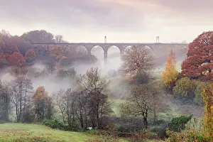 Viaduct Prints: Morning mist swirling among the autumn coloured trees and railway viaduct at Dane-In-Shaw Pasture