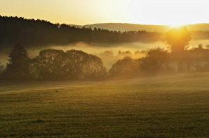 Neckar Valley Prints: Morning for in the Neckartal (Neckar valley)