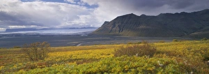 Images Dated 28th June 2009: Morsardalur glacial valley in Skaftafell National Park, with Skeidararsjokull glacier