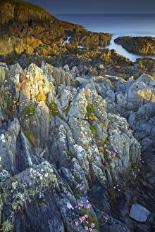 Lichen Prints: Morte Point, Devon, England, United Kingdom, Europe