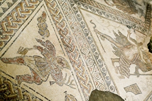 Floor Prints: Mosaic, Chedworth Roman villa, Gloucestershire, England, United Kingdom, Europe