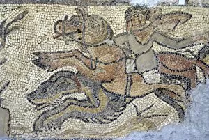 Images Dated 19th October 2007: Mosaic, currently in the museum, taken from the Greek and Roman site of Cyrene