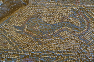 Pastry Prints: Mosaic of dolphin from Temple to Athena, Soloi, North Cyprus, Cyprus, Europe