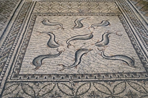 Volubilis Prints: Mosaic floor