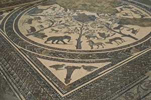 Mosaic floor