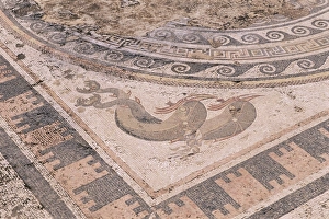 Cyclades Prints: Mosaic in the House of the Dolphins