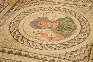 Close Up View Gallery: Mosaic, Kourion, Cyprus, Europe