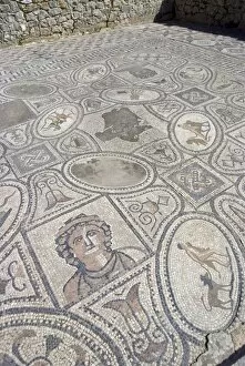Images Dated 7th November 2007: Mosaic from Labour of Hercules House, Volubilis, UNESCO World Heritage Site