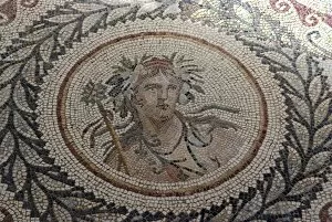 Mosaic, at the Museum of Chemtou, Tunisia, North Africa, Africa