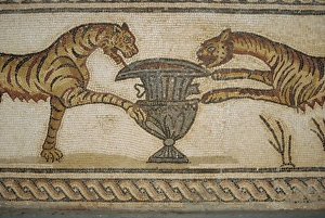 Mosaic in museum, Tolmeita, Libya, North Africa, Africa